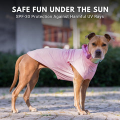 Spark Paws Sunblock SPF30 label close-up emphasizing sun protection features.