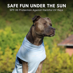 Spark Paws Sunblock Dog T-Shirt SPF30 label highlighted for sun-safe protection.