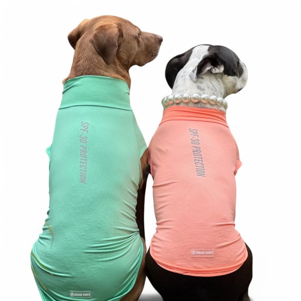 Spark Paws Sunblock Dog T-Shirt SPF30 UV protection for sunny days.