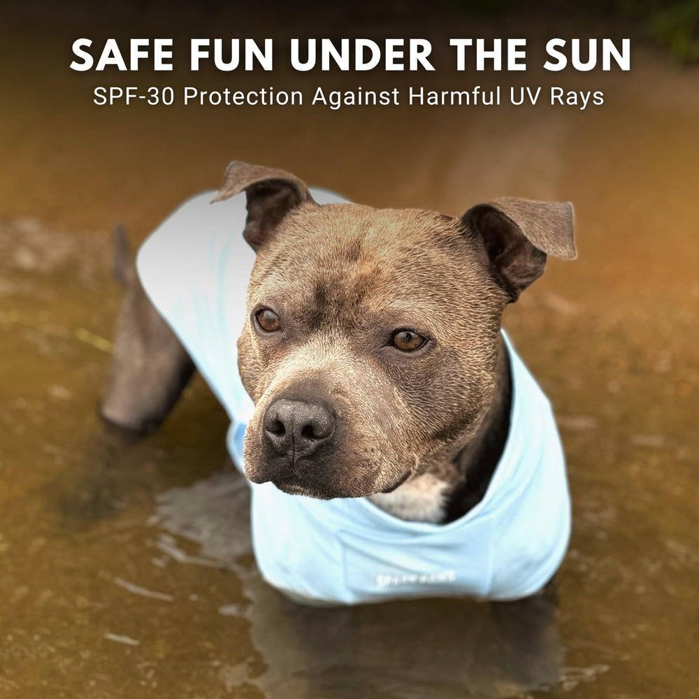 Spark Paws Sunblock Dog T-Shirt SPF30 UV shield demonstrates outdoor skin protection.