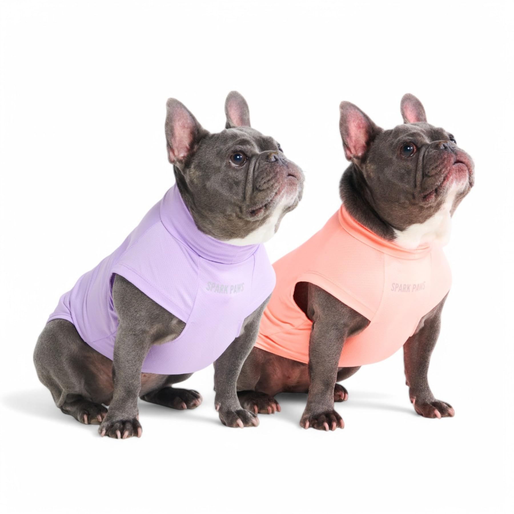 Spark Paws Sunblock Dog T-Shirt UV protection for dogs shielding sensitive skin during sun