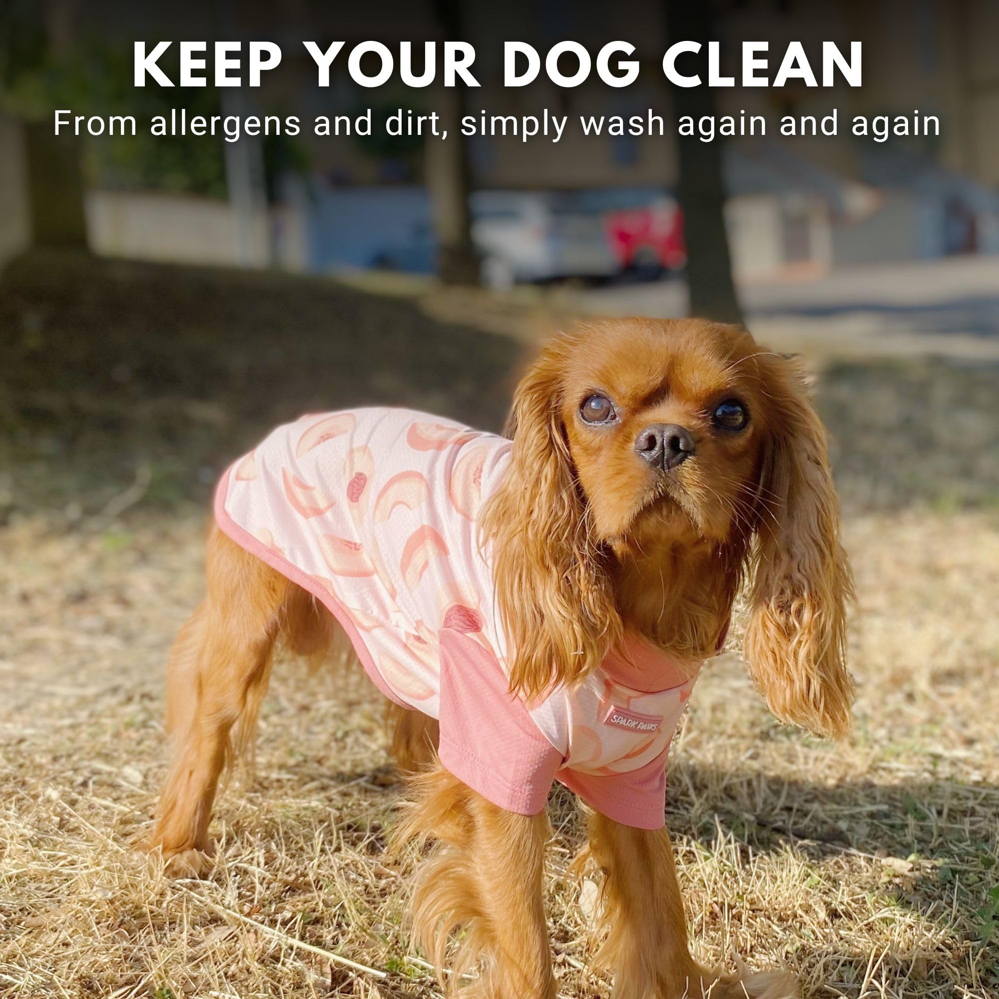 Spark Paws Sunblock Dog T-Shirt watermelon dirt protection shows easy cleanup after outdoor adventures.