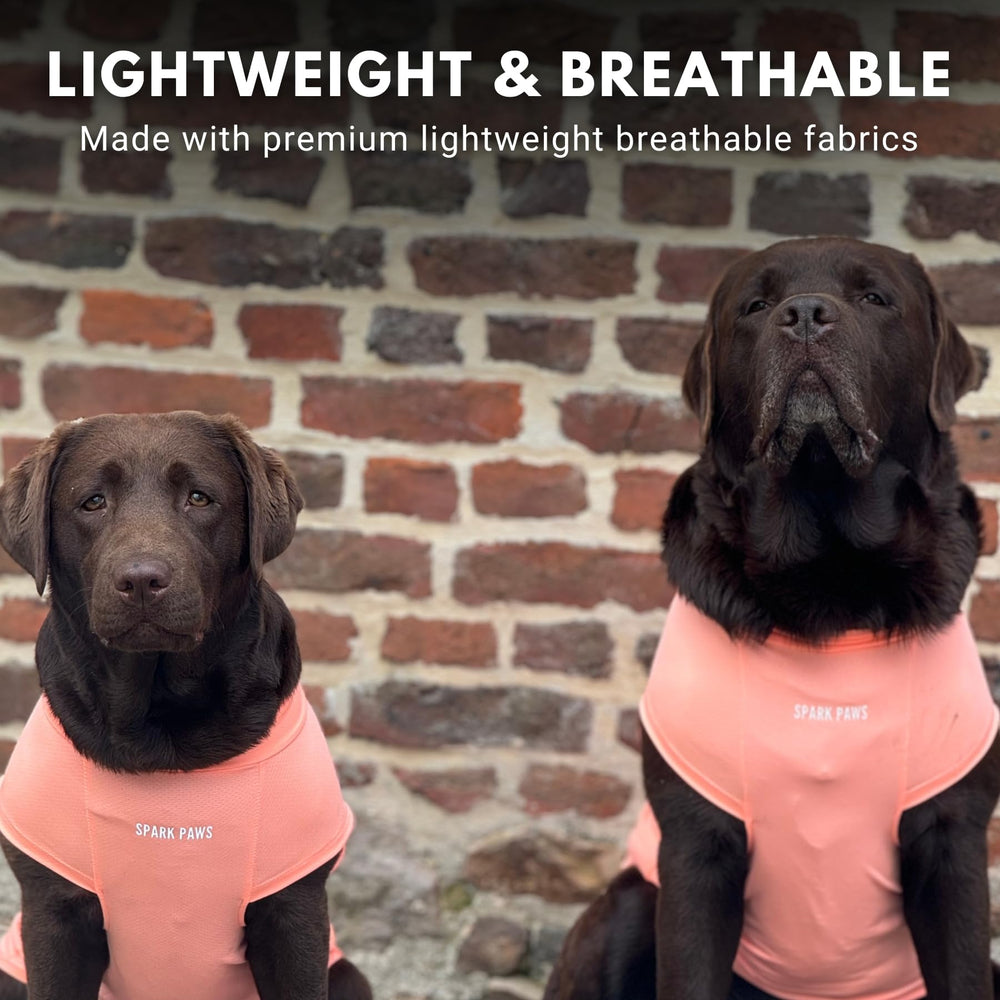 Spark Paws Sunblock Dog T-Shirt XL-fit close-up highlights comfy snug sizing for many breed types