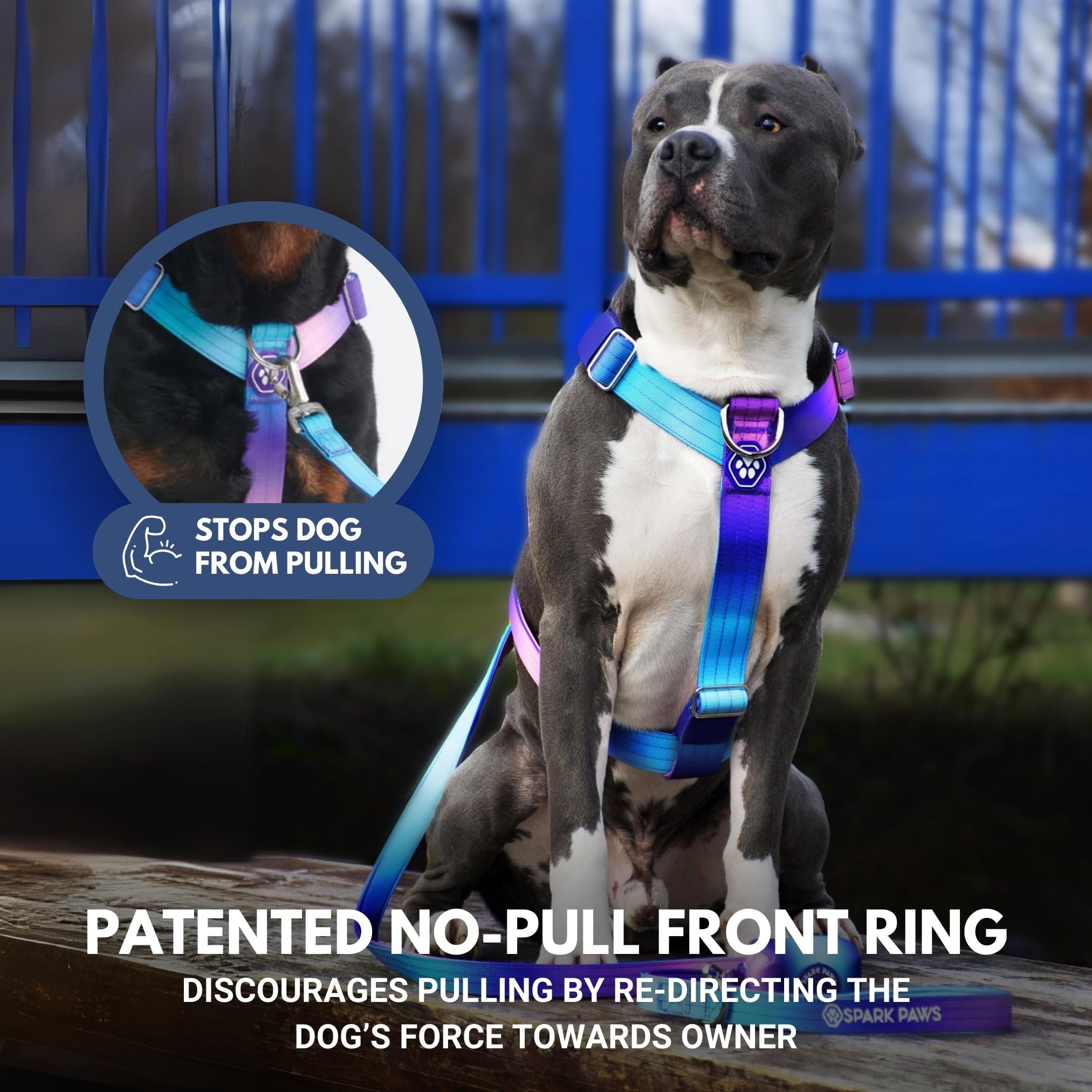 Spark Paws Tactical Collar with Harness forms a complete action-ready setup.