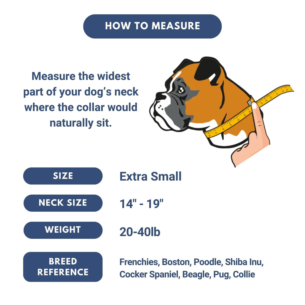 Spark Paws Tactical Collar handle feature for quick training control