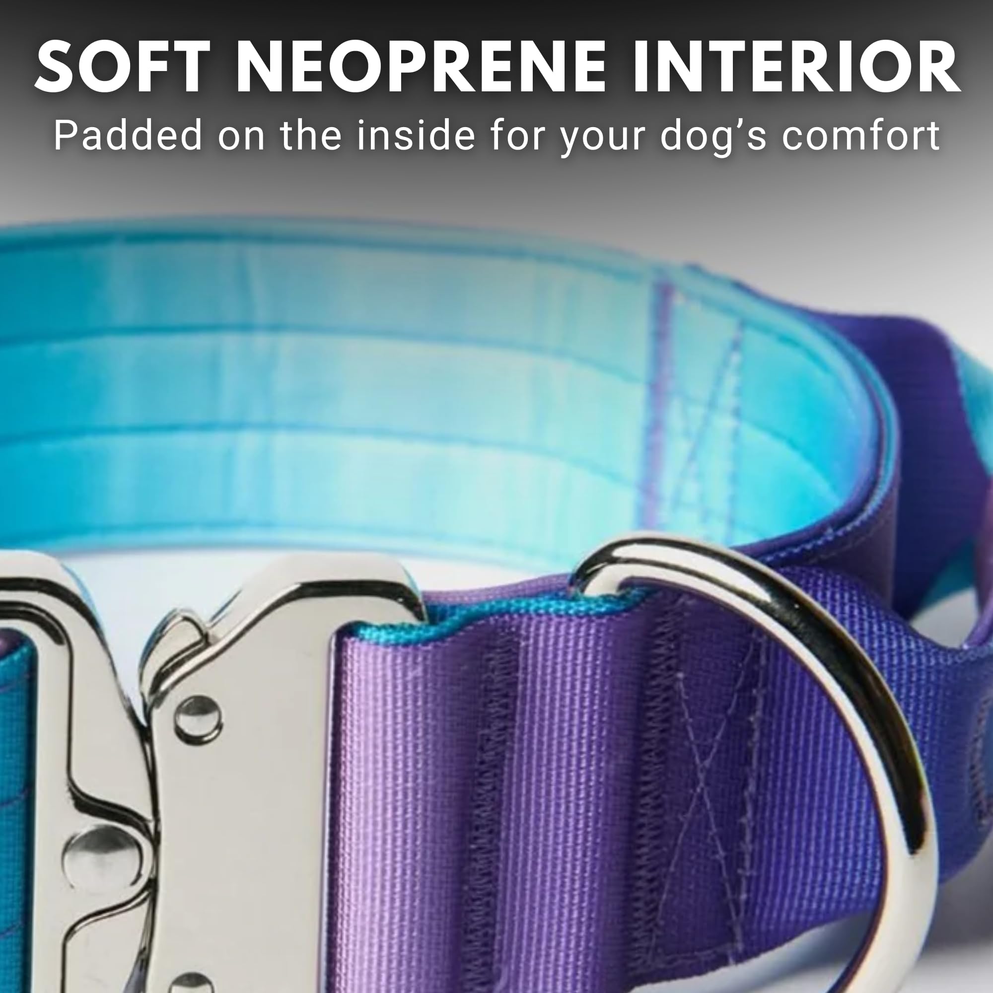 Spark Paws Tactical Dog Collar 90s retro design, stylish yet durable