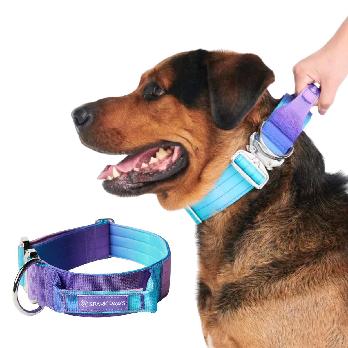 Spark Paws Tactical Dog Collar close-up buckle highlighting heavy-duty durability for large breeds.
