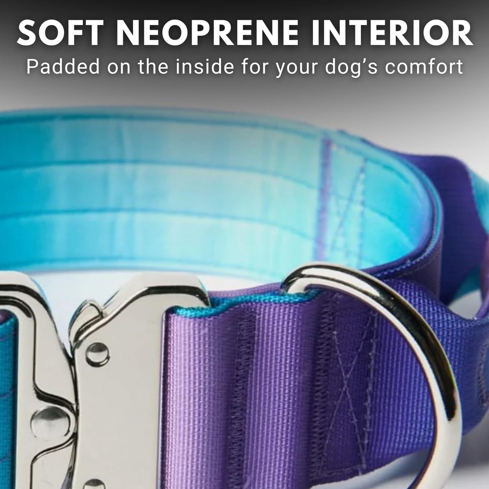 Spark Paws Tactical Dog Collar worn during daily walk to illustrate secure fit.