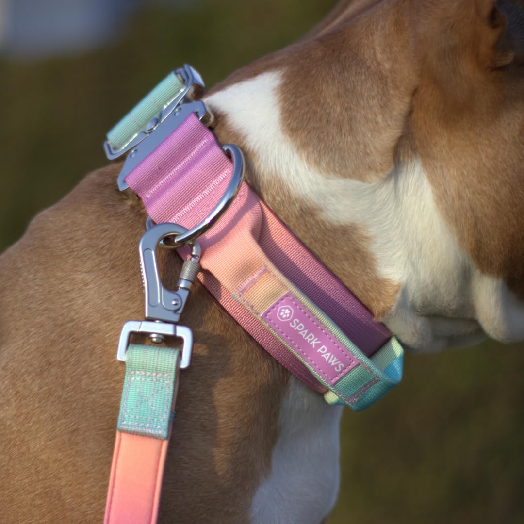 Spark Paws Tactical Dog Collar quick-release buckle enables easy on/off.