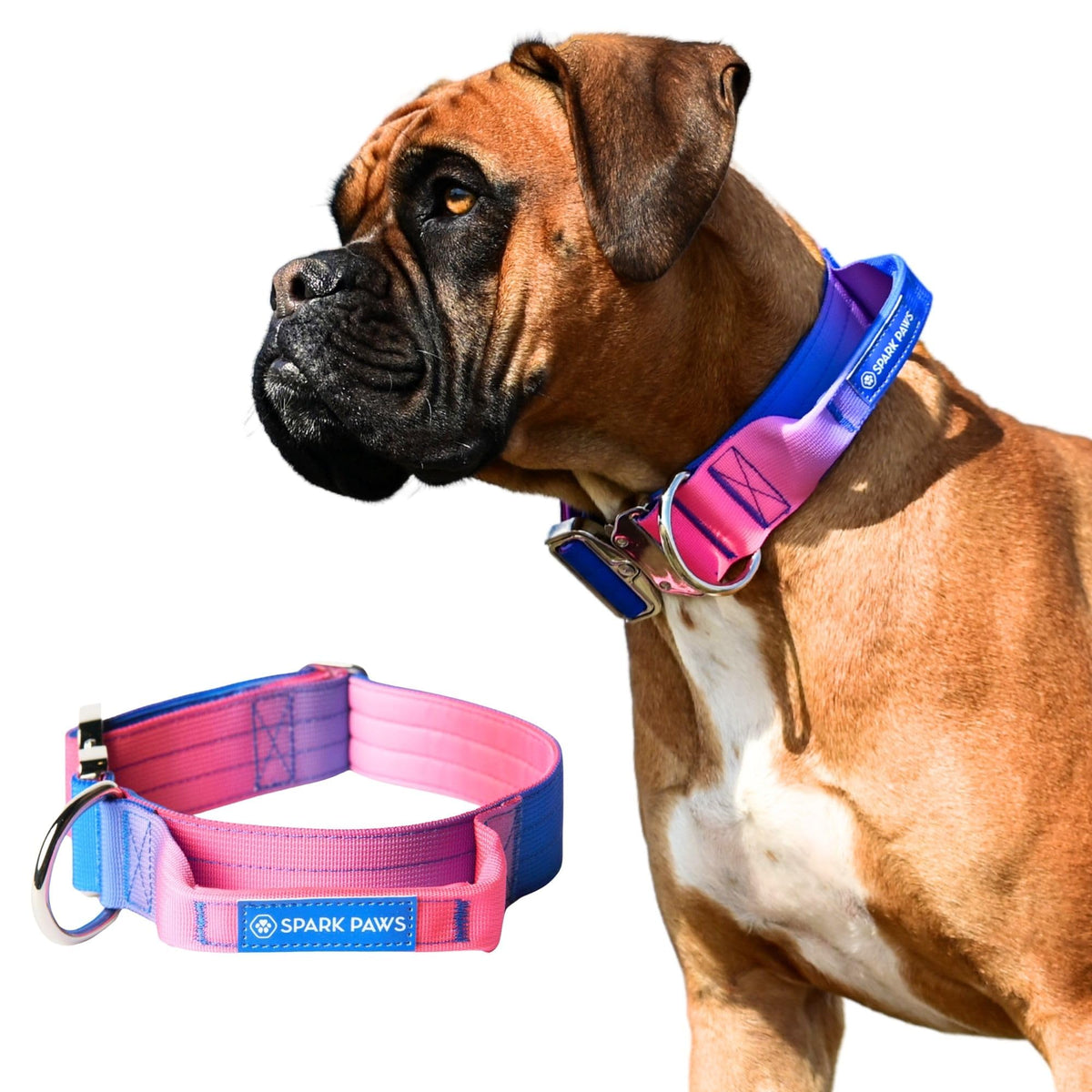 Spark Paws Tactical collar closeup buckle shows sturdy hardware for reliable control.