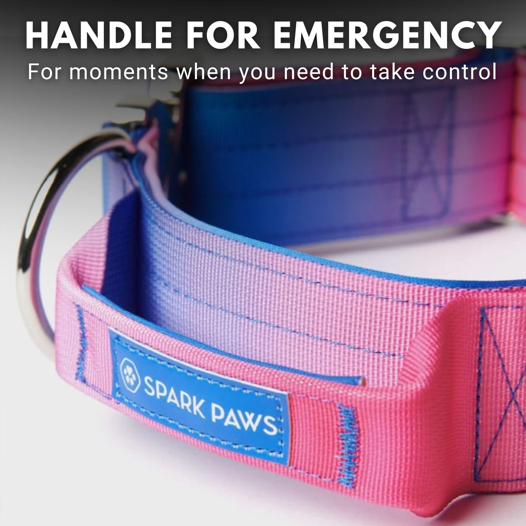 Spark Paws Tactical collar in use with a large dog, showing secure handle control.