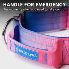 Spark Paws Tactical collar in use with a large dog, showing secure handle control.