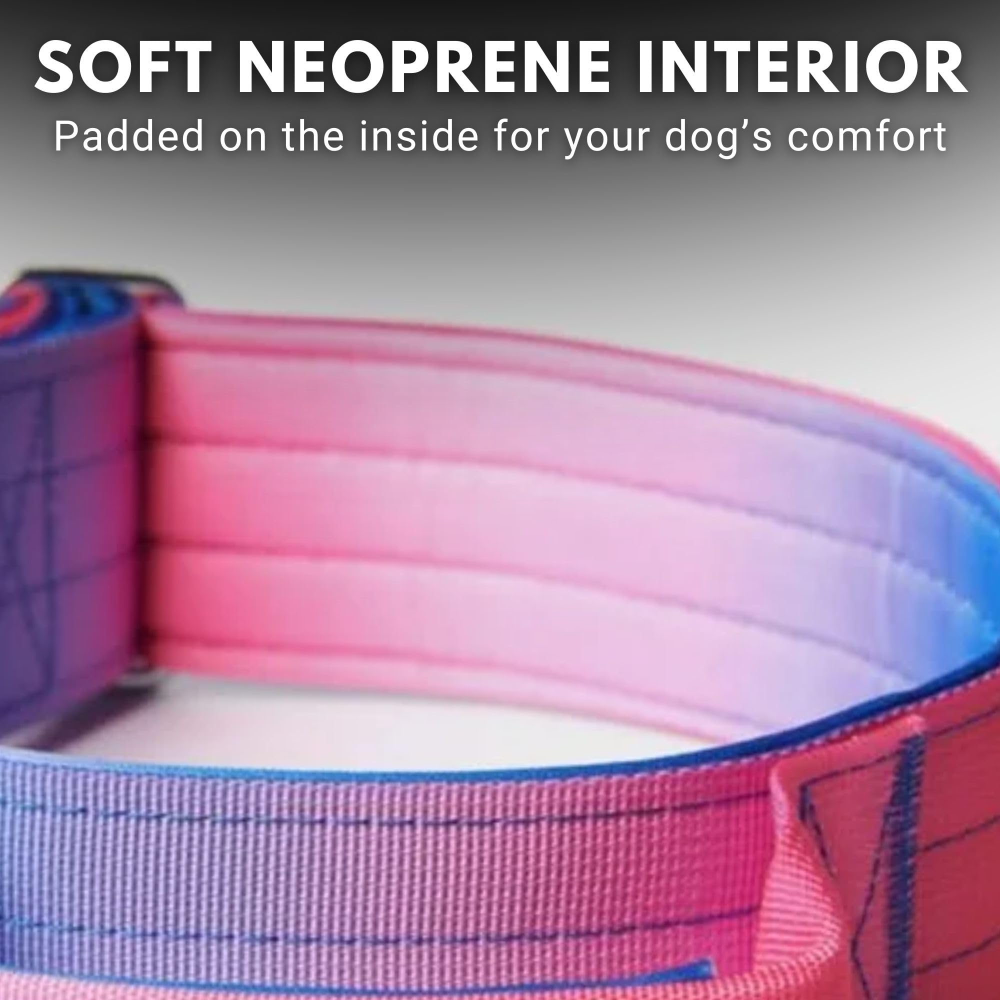 Spark Paws Tactical collar soft-edge view demonstrates gentle contact during training.