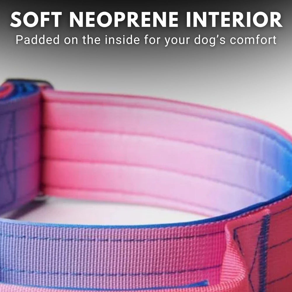 Spark Paws Tactical collar soft-edge view demonstrates gentle contact during training.