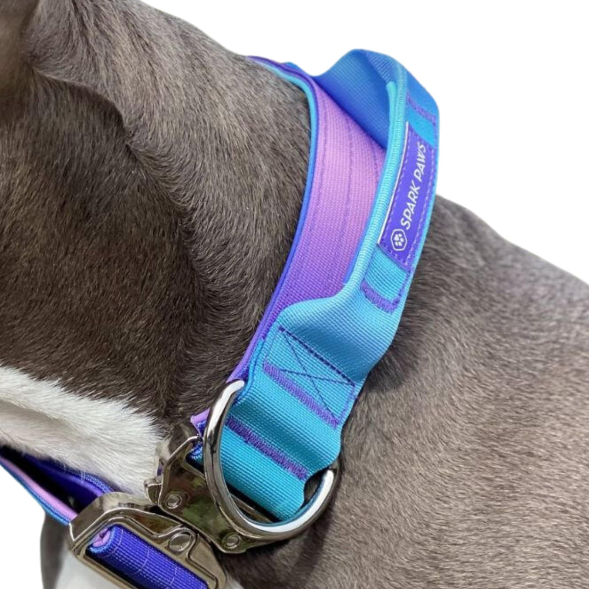 Spark Paws Tactical Dog Collar front view with 1.5in nylon strap for durable control