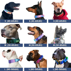 Spark Paws Tactical Dog Collar interior padding showing gentle comfort for sensitive skin.