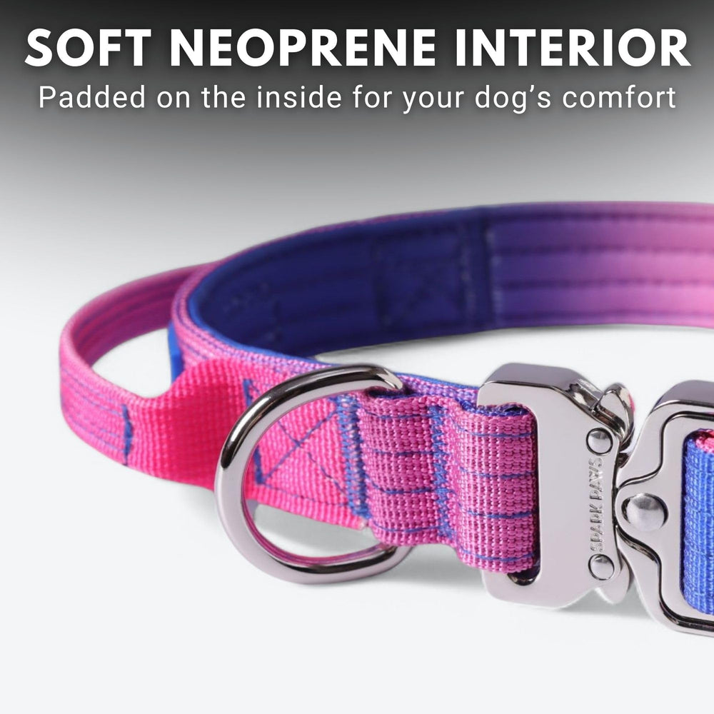 Spark Paws Tactical Dog Collar Snow Cone XS designed for large and medium breeds during adventures.