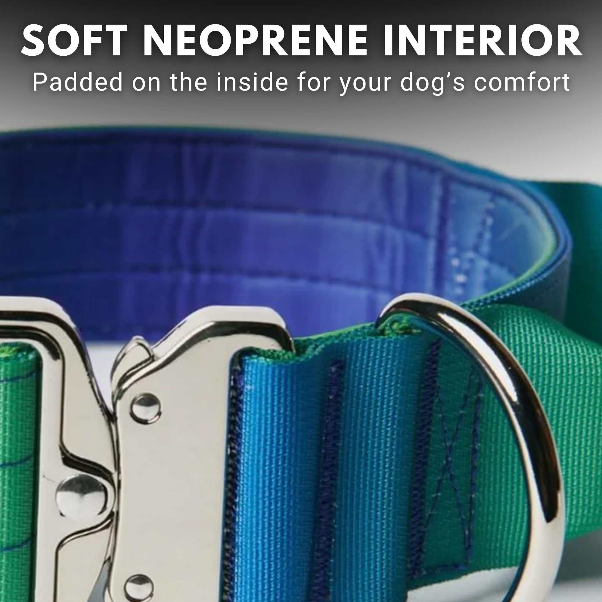Spark Paws Tactical Dog Collar Lime Wave outdoors-ready design supports reliable trail outings.