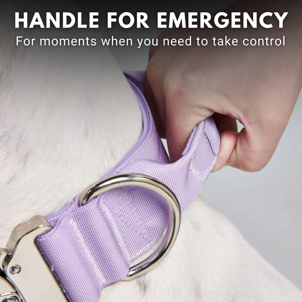 Spark Paws Tactical Dog Collar purple handle enables quick control in training.
