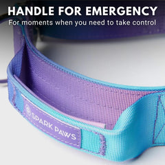 Spark Paws Tactical Dog Collar quick-release buckle enabling easy on/off use.