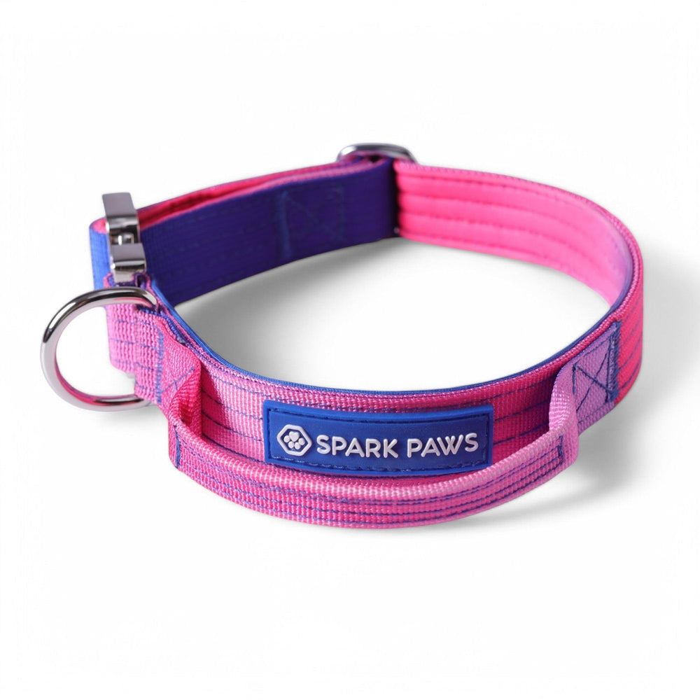 Spark Paws Tactical Dog Collar Snow Cone XS shows durable nylon and rugged buckle for large dogs.