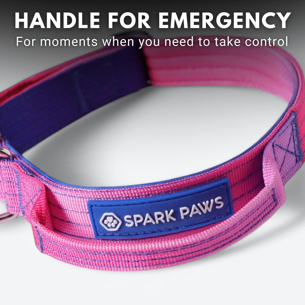 Spark Paws Tactical Dog Collar Snow Cone XS interior padded with neoprene for comfortable wear.