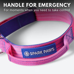 Spark Paws Tactical Dog Collar Snow Cone XS interior padded with neoprene for comfortable wear.