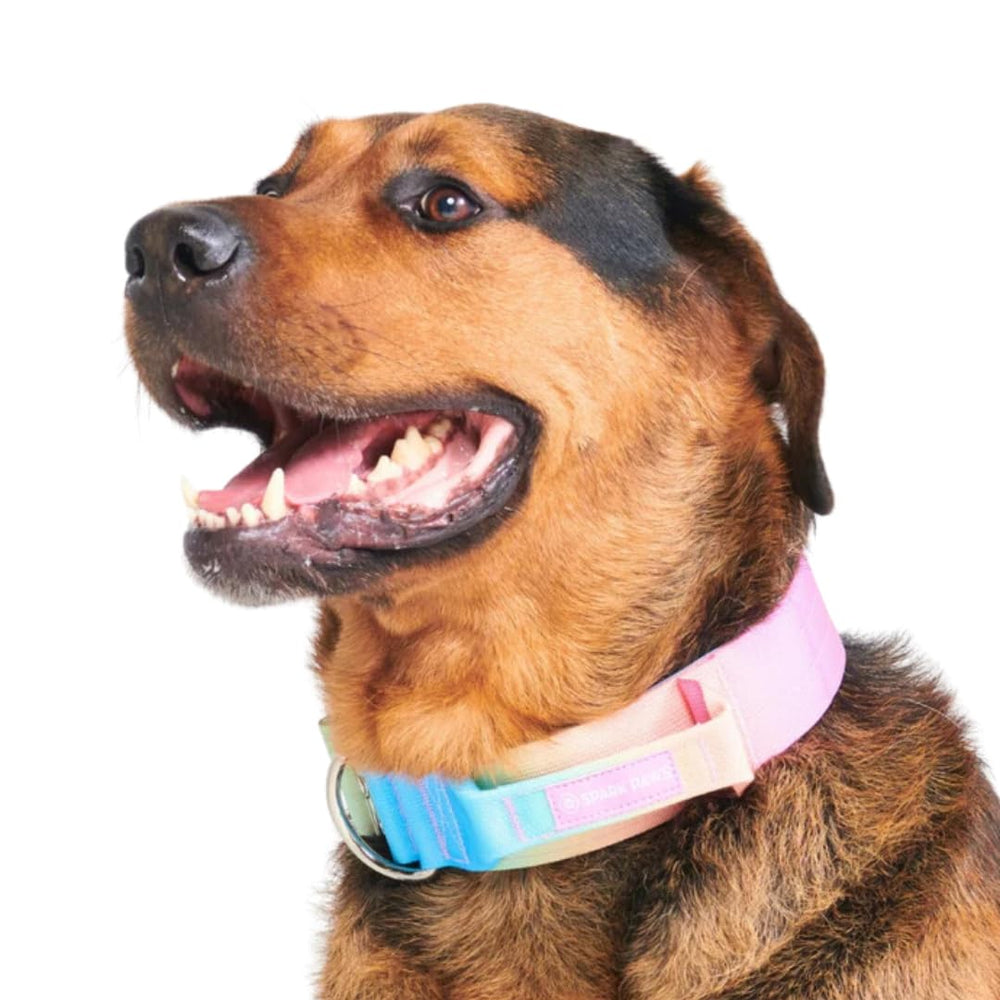 Spark Paws Tactical Dog Collar rugged nylon with metal buckle for durability.