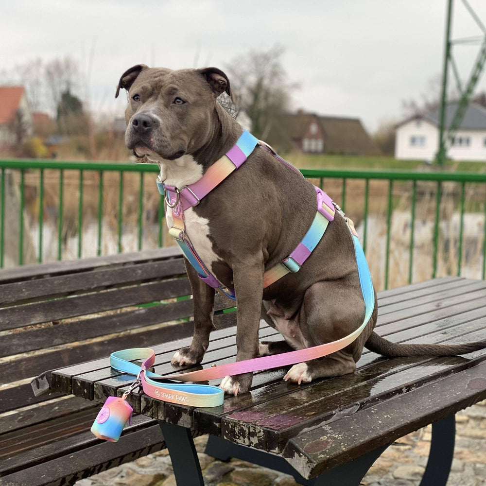 Spark Paws Tactical harness outdoor use image shows action-ready design for walks and training