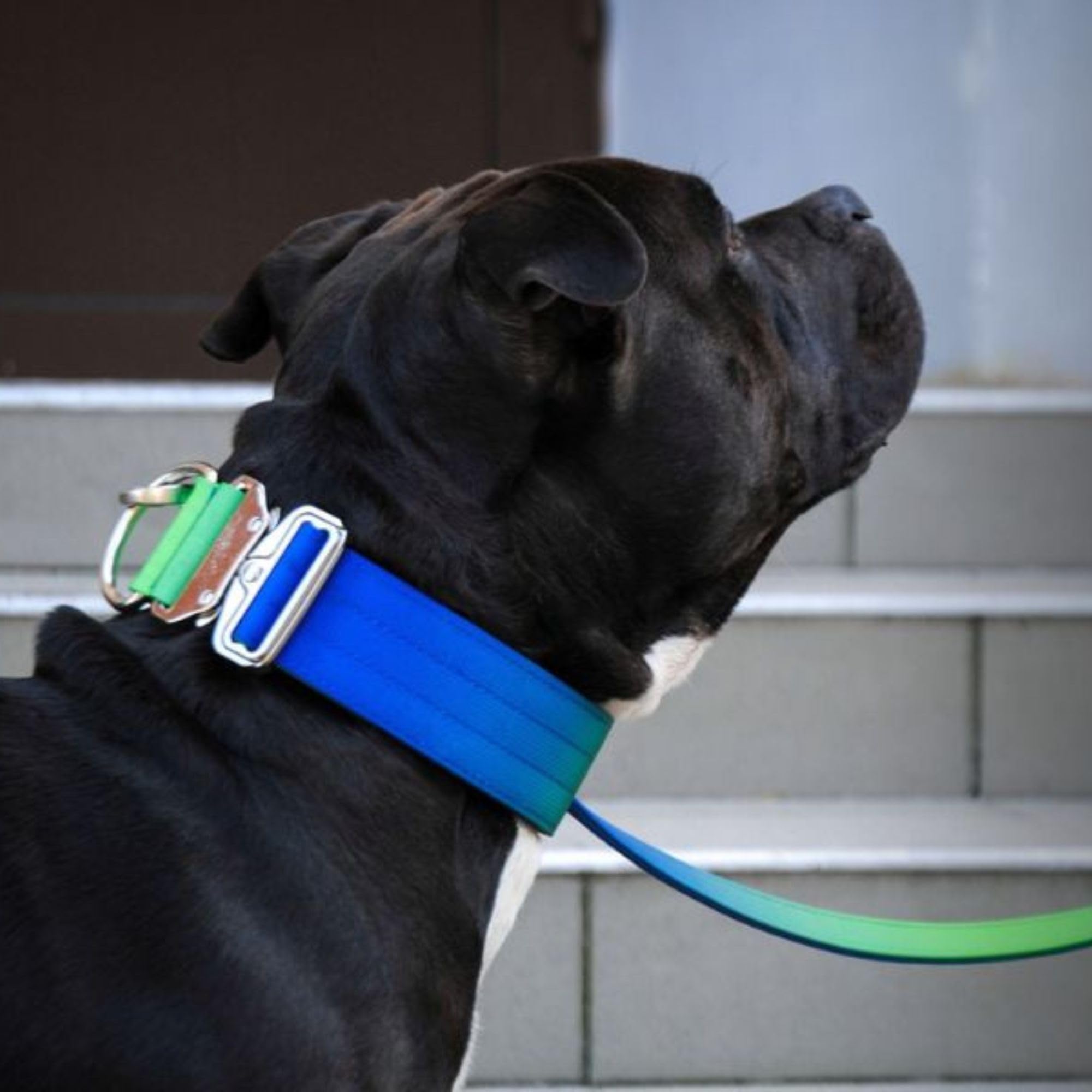 Spark Paws Tactical heavy-duty strap shown in rugged outdoor adventure