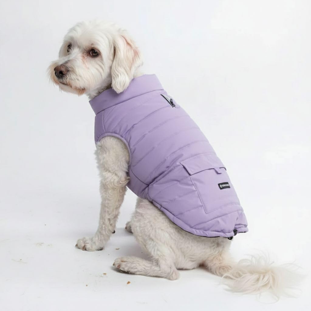 Spark Paws lilac winter jacket on dog shown front view highlighting warmth and fit