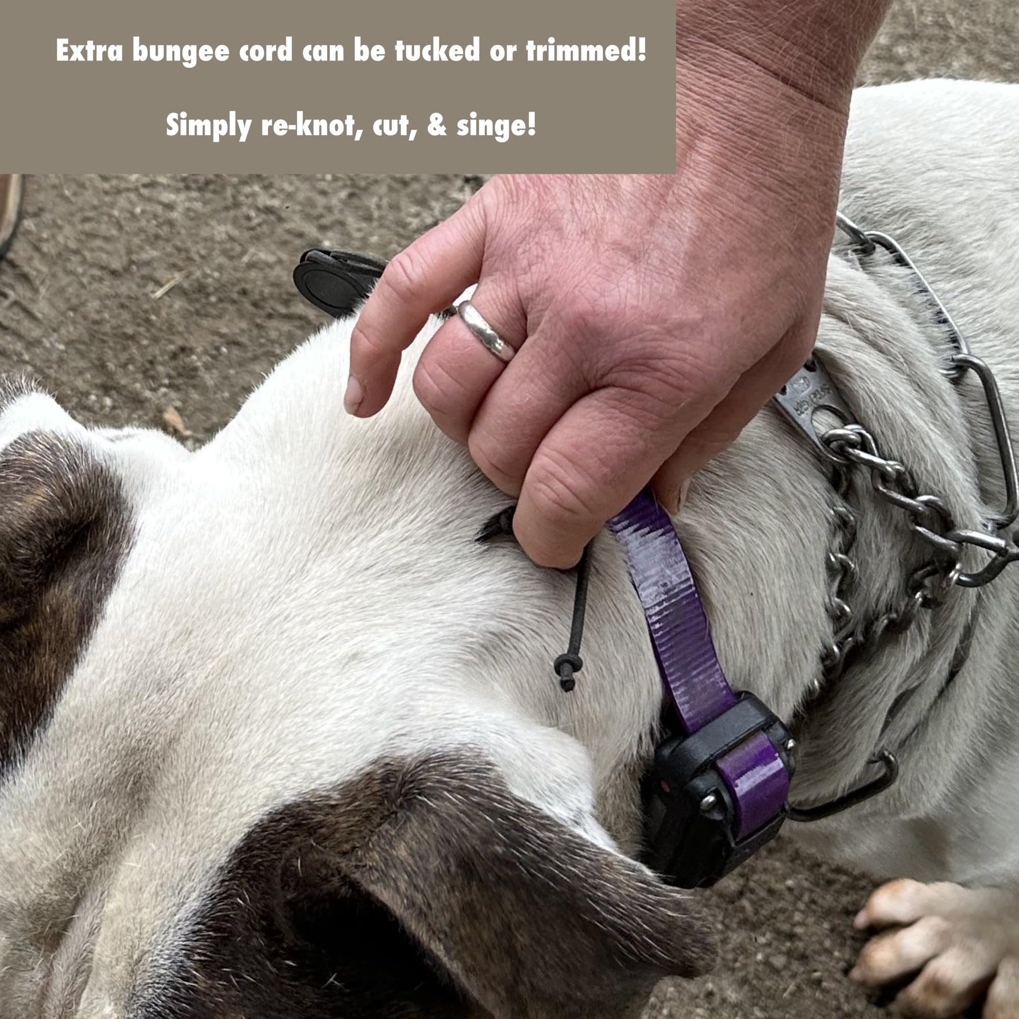 SparkDog HiFlex waterproof odorproof strap withstands wet or muddy conditions.
