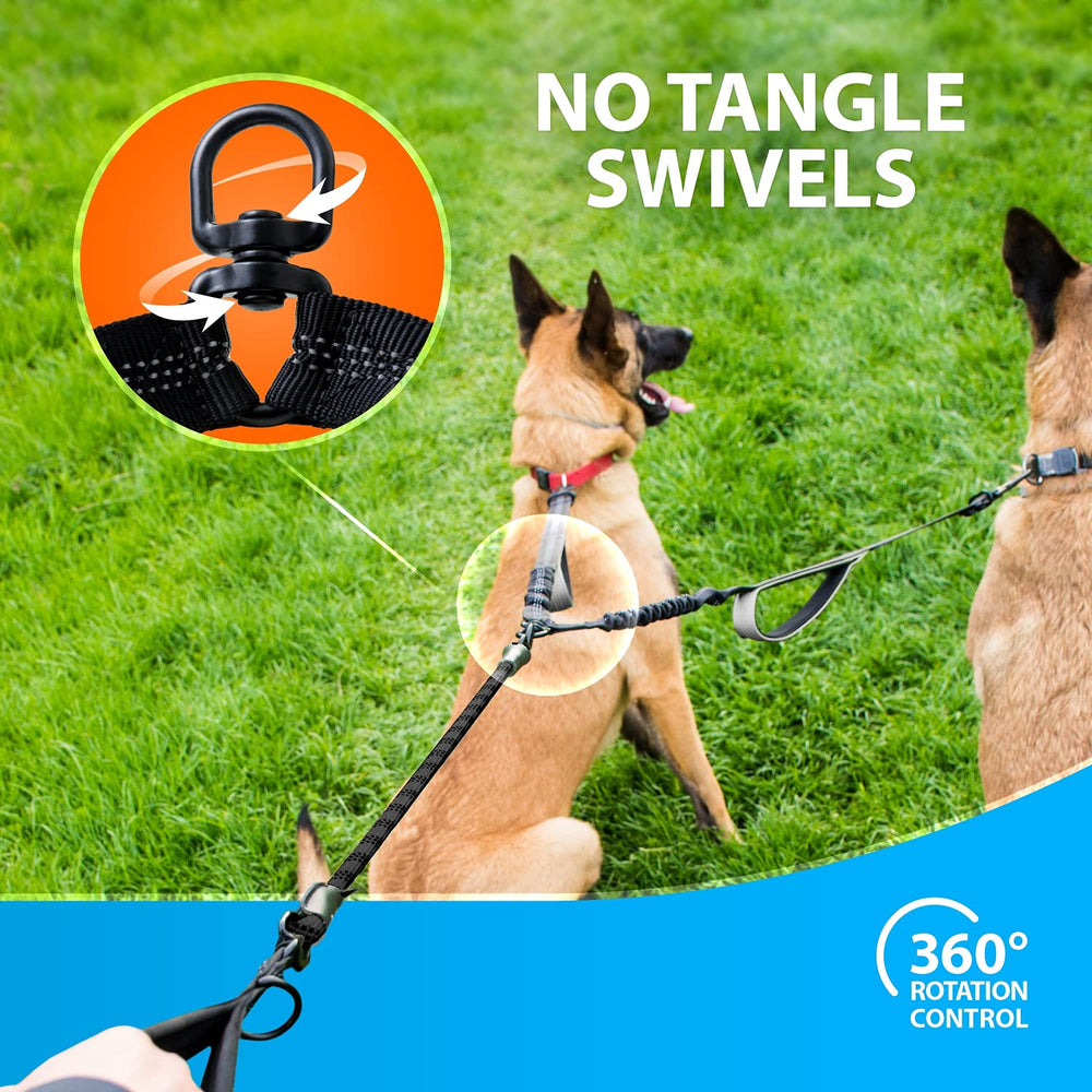 SparklyPets 360° rotation leash prevents tangles during two-dog walks.