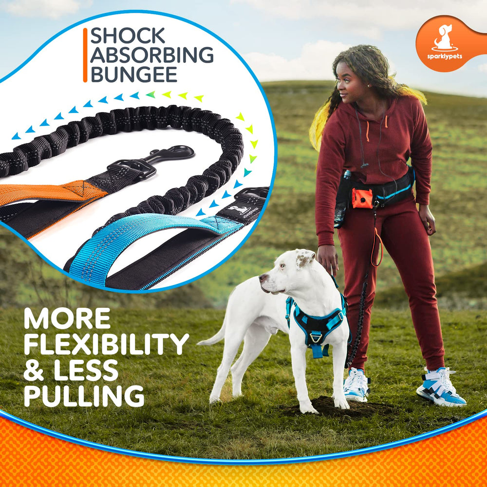 SparklyPets Active Waist Leash treat pouch provides snacks without slowing your pace.