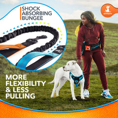 SparklyPets Active Waist Leash treat pouch provides snacks without slowing your pace.