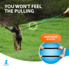 SparklyPets bungee system highlights shock absorption for smoother outdoor strolls.