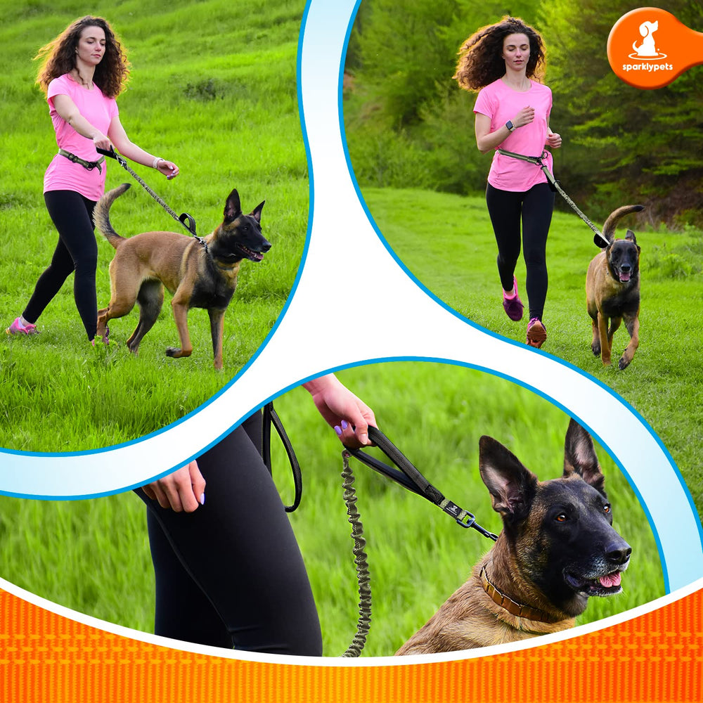 SparklyPets control handle keeps you steady in busy streets and crowded trails