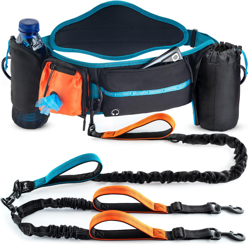 SparklyPets Double Bungee Waist 2-Dog Leash back brace setup eases pull on long walks.