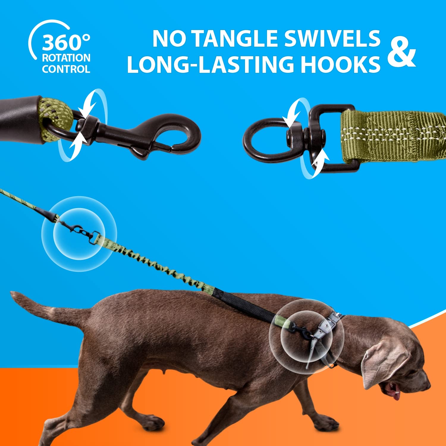 SparklyPets green range bungee leash shown outdoors with strong, comfortable handle
