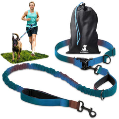SparklyPets hands-free dog leash with gradient blue belt enables secure waist-walking for active dogs.