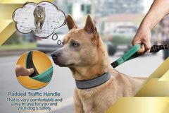 SparklyPets hands free leash teal bungee absorption reduces strain while running with your dog