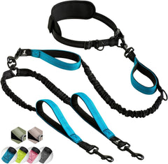 SparklyPets Hands Free Double Leash with padded handles enables comfortable control on city walks.