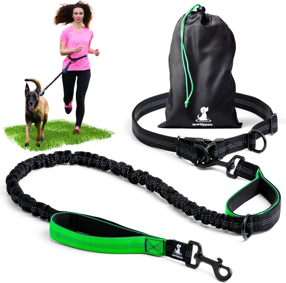 SparklyPets hands-free leash belt clips secure walking setup for safety and balance