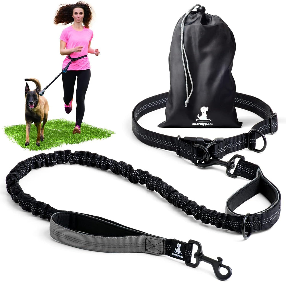 SparklyPets hands-free leash with reflective stitches on belt for safer evening walks.