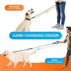 SparklyPets heavy-duty leash with leather joints for a premium, secure grip