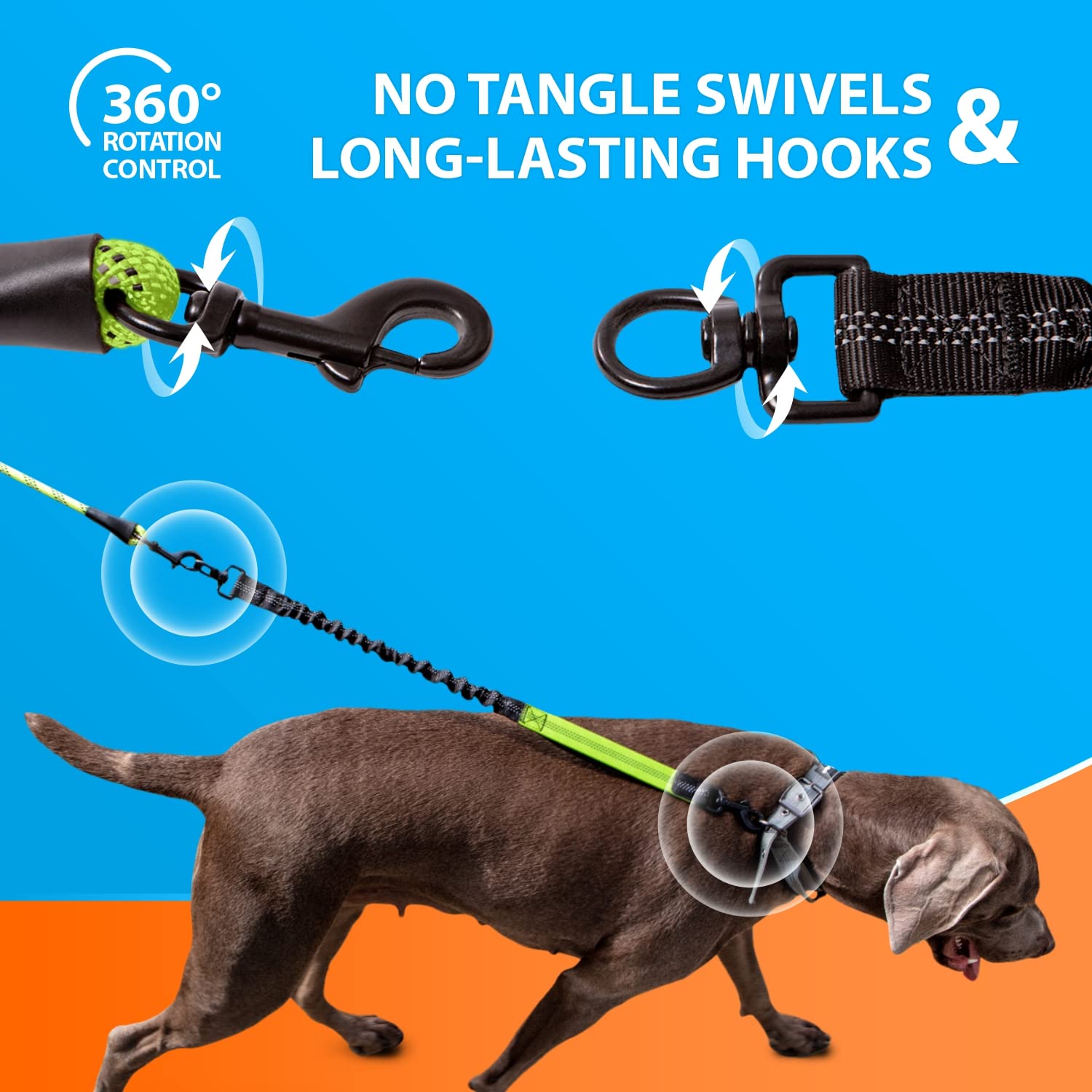 SparklyPets modern stylish green leash designed for large dogs