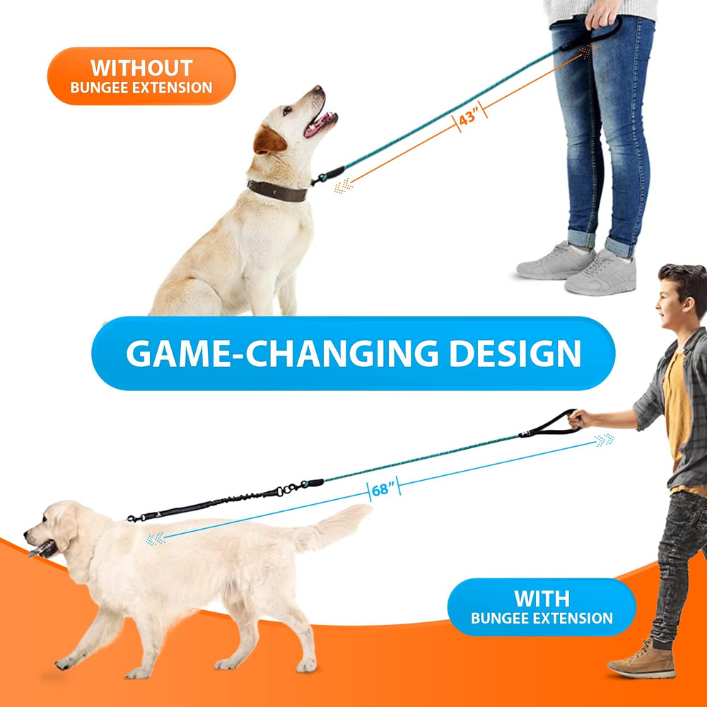 SparklyPets teal no-slip reflective leash improves nighttime visibility.