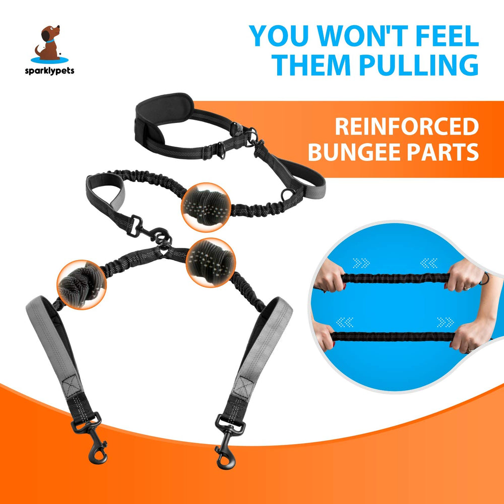 SparklyPets no-tangle 360 swivel demonstrates smooth turns and mess-free walking for two dogs.