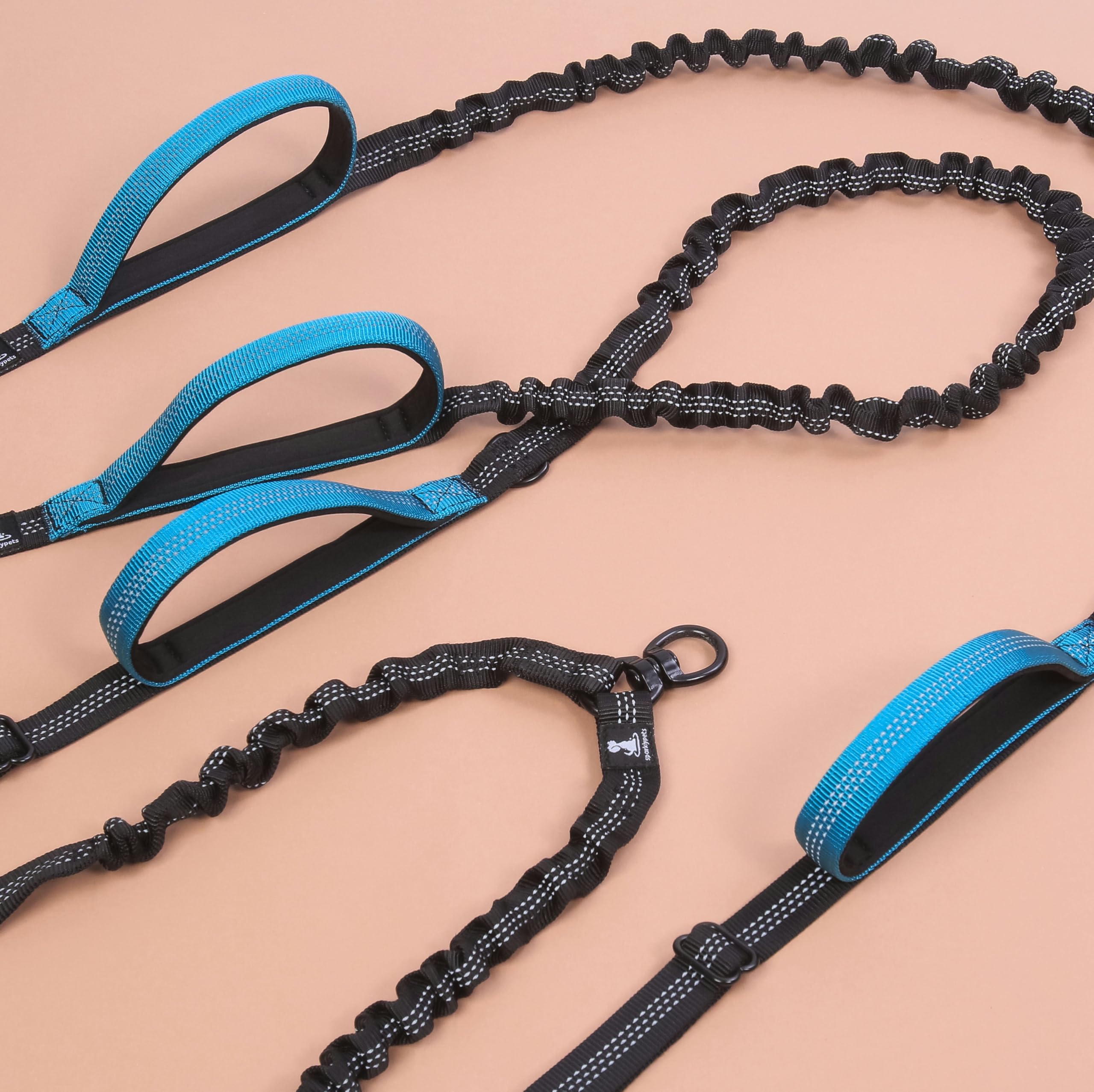 SparklyPets outdoor-running setup showing secure control during jogging