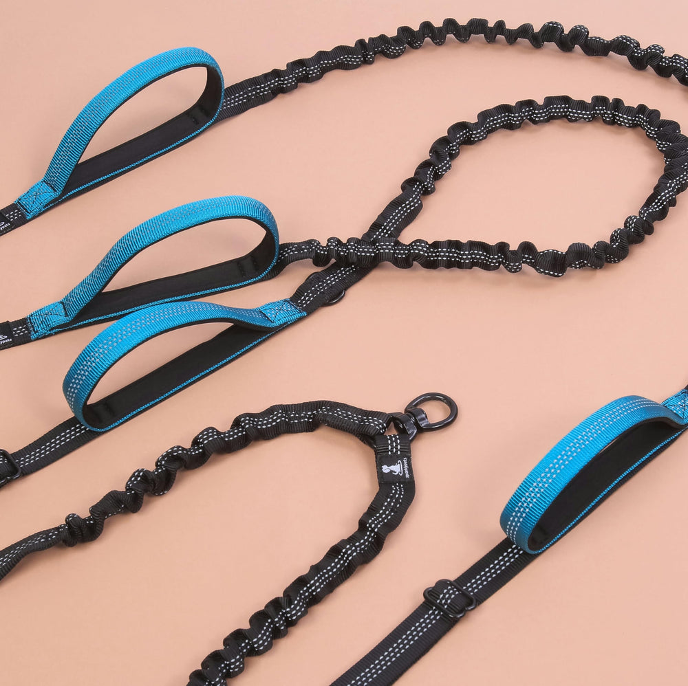 SparklyPets outdoor-running setup showing secure control during jogging